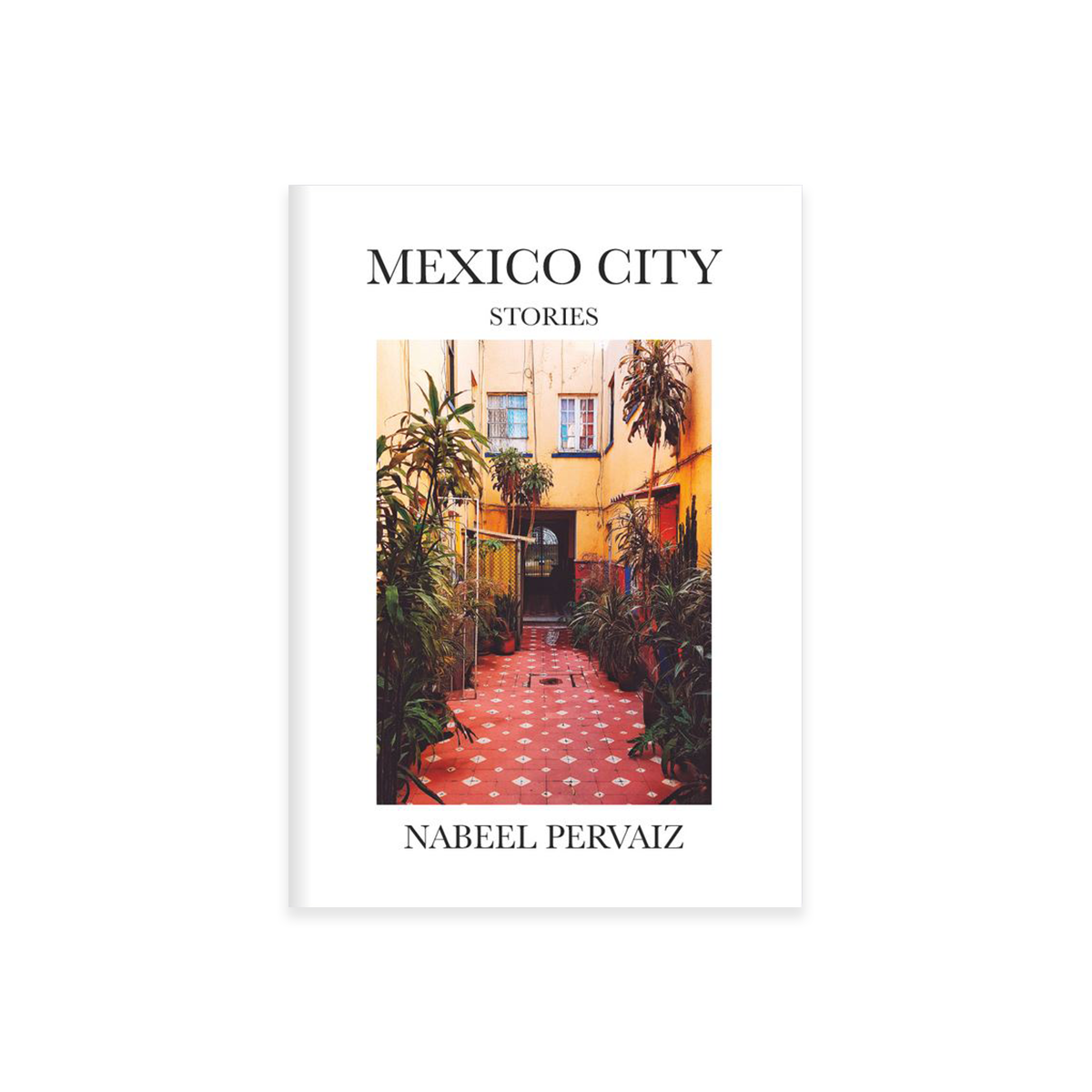 MEXICO CITY STORIES (Signed)